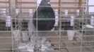 IMGA0581