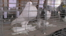 IMGA0585