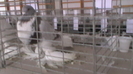 IMGA0586