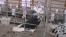 IMGA0587