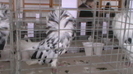 IMGA0588