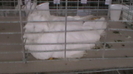 IMGA0589