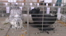 IMGA0590