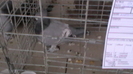 IMGA0591