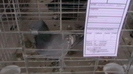 IMGA0592