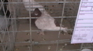 IMGA0593
