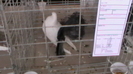 IMGA0594