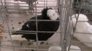 IMGA0598