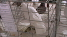 IMGA0599