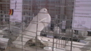 IMGA0600