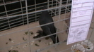 IMGA0607