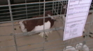 IMGA0614