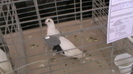 IMGA0621