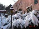 iarna feb 2012 (6)