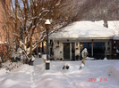 iarna feb 2012 (7)