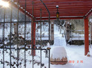iarna feb 2012 (10)