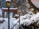 iarna feb 2012 (23)