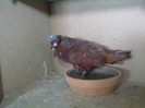 Image854