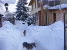 Iarna.grea.2012 039