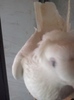 26733119_KRYUEDIEL[1]