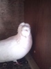 26733135_AQBQBSPVW[1]