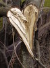 dragoste-naturala