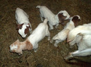 DSC00205