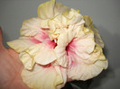 DSC01658