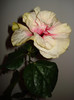 DSC01673