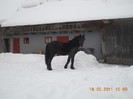 DSCN0470