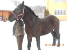 DSCN0479