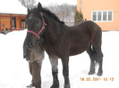 DSCN0480