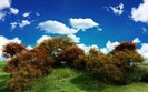 01202_woodlandhill_1280x800