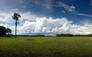01335_aloneagainstthestorm_1280x800