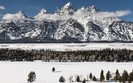 Landscapes 1