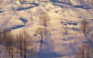 Landscapes 5