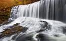 Landscapes 7