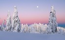 Landscapes 22