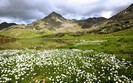 Landscapes 32
