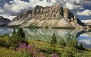 Landscapes 40