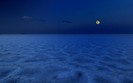 Landscapes 41