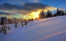 Landscapes 43
