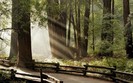 Landscapes 45
