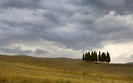 Landscapes 47
