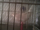P17-02-12_10.55[1]