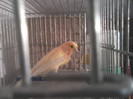 P17-02-12_10.57[1]