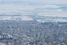 DSC_0594