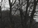P1190274