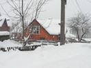 P1190421