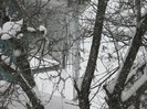 P1190445
